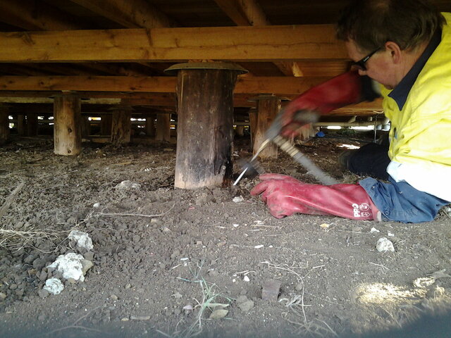 Termite Application Termite Protection | CDI Pest Management